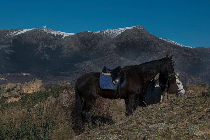 Horse Riding Madrid Natural Park - Getting there: Collado Mediano meeting point and public transport reality
