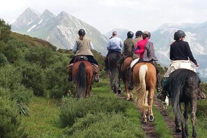 Horse Riding Madrid Natural Park (long Trip) - Key highlights worth marking on your map