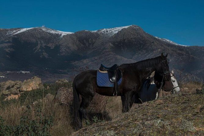 Horse Riding Madrid Natural Park (long Trip) - Sierra de Guadarrama on horseback: why this ride feels special