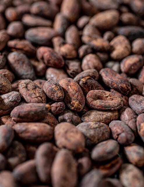 KAIACAO Bean to Bar and Design your own chocolate experience - Your 60 minutes in the LAB: bean to bar, step by step