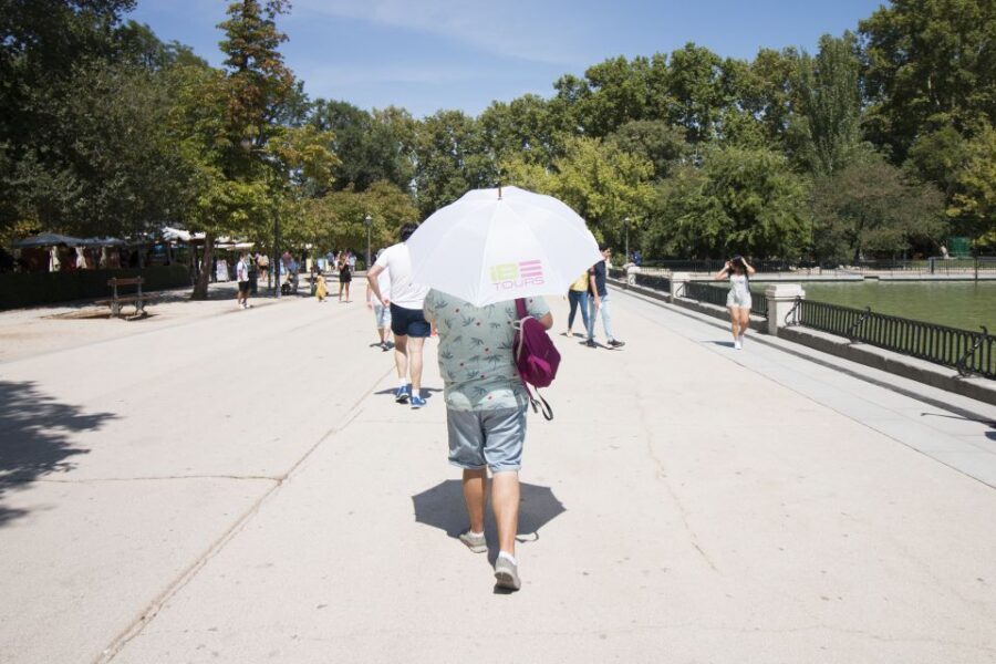 Madrid: 1.5-Hour Retiro Park Guided Walking Tour - Price and value: why $10 works here
