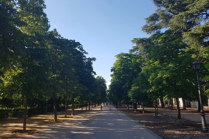 Madrid Bike Tour with Churros and Wine, Ham, and Cheese Upgrade - Plaza Mayor: architecture first, bars and buzz second