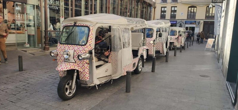 Madrid: City Tours - 6 seats private ecological tuk tuk - Key things you’ll notice fast