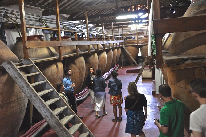 Madrid Countryside Wineries Guided Tour with Wine Tasting - Key highlights worth planning around