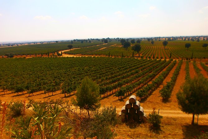 Madrid Countryside Wineries Guided Tour with Wine Tasting - Bodega del Nero: process talk with the rivers that shaped the region
