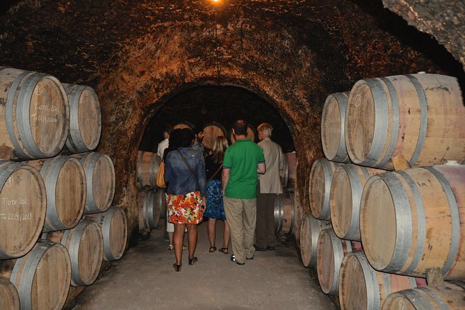 Madrid Countryside Wineries Guided Tour with Wine Tasting - Snacks that actually work as lunch (and how to pace your tasting)