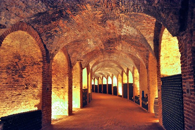 Madrid Countryside Wineries Guided Tour with Wine Tasting - The guide’s job: turning tastings into something you can remember