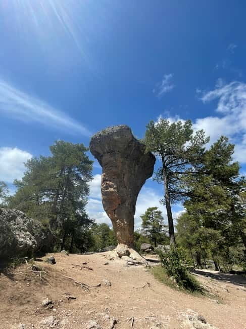 Madrid: Cuenca Day Tour with or without Enchanted City - Lunch windows: when to eat and how to avoid feeling rushed