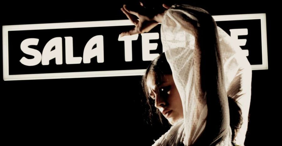 Madrid: Flamenco Show at Tablao Sala Temple with Drink - Traditional Food Options: Add Tapas Without Turning It Into a Dinner Event