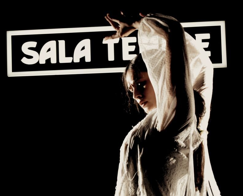 Madrid: Flamenco Show at Tablao Sala Temple with Drink - Price and Value: What $29 Buys You in Real Terms