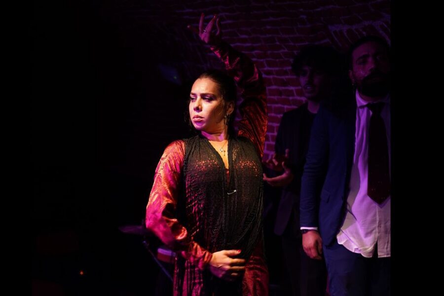 Madrid: Flamenco Show Entry Ticket with Drink & Artist Talk - Key Points You’ll Actually Care About