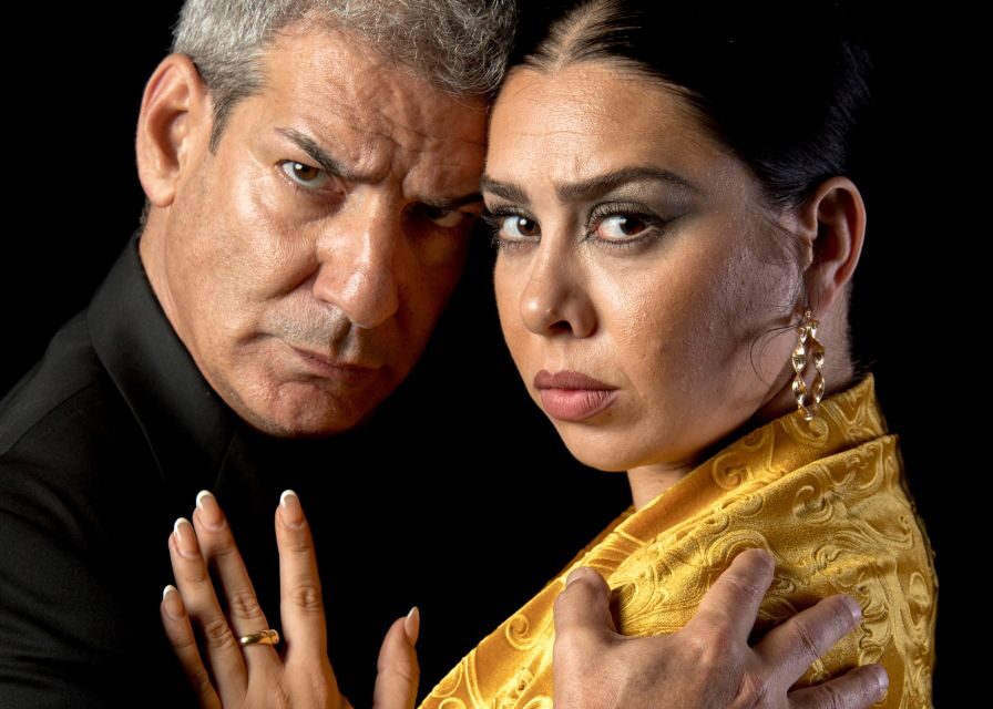 Madrid: Flamenco Show Entry Ticket with Drink & Artist Talk - Should You Book This Madrid Flamenco Show?