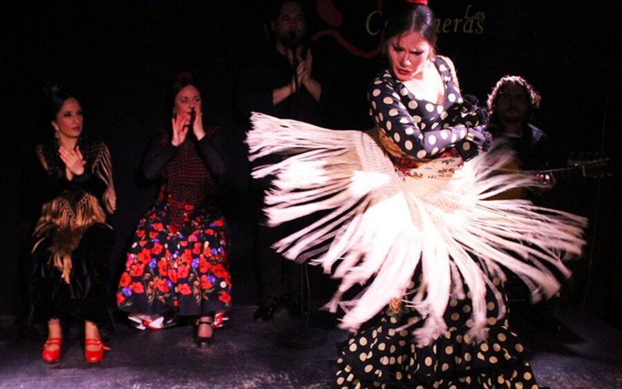 Madrid: Flamenco Show with Tapas and Wine Tour - Key things I’d bet on before you book