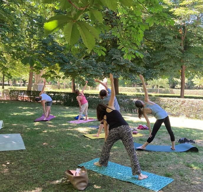 Madrid: Flow Yoga class in Retiro Park - Price and value: $44 for a small-group reset