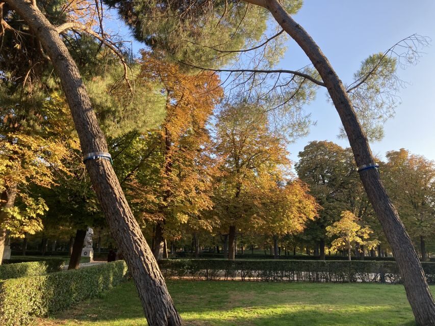 Madrid: Flow Yoga class in Retiro Park - What to bring (and what to expect from the outdoors)