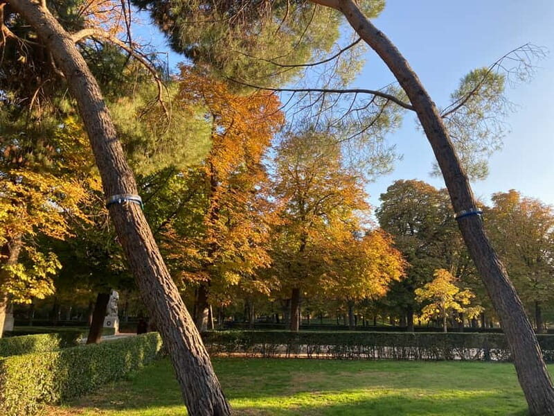 Madrid: Flow Yoga class in Retiro Park - Who should book this Retiro Park class