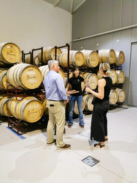 Madrid: half day wine region tour - Why this half-day Madrid wine tour feels like the real deal