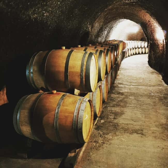 Madrid: half day wine region tour - Winery visit #1: how the guide turns tasting into learning