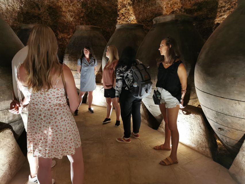 Madrid: half day wine region tour - The grapes and styles you’ll hear about (and how to taste with less guessing)