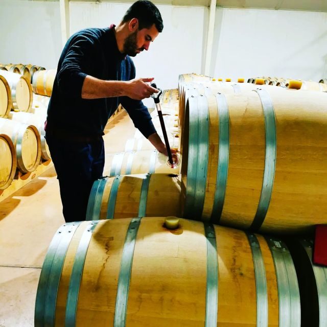 Madrid: half day wine region tour - Why the guide’s wine training changes the whole day