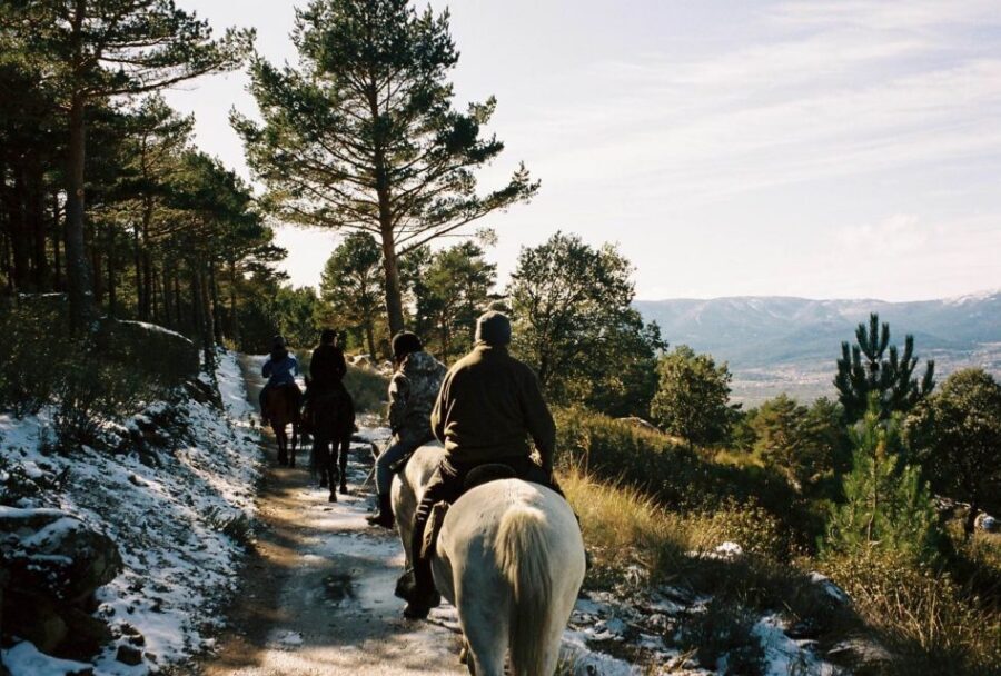 Madrid: Horse Riding in Sierra del Guadarrama National Park - Price and value: is $88 a fair deal?