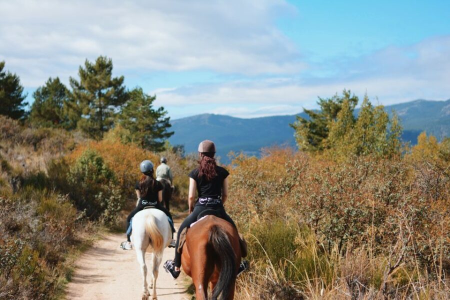 Madrid: Horse Riding in Sierra del Guadarrama National Park - Sierra del Guadarrama: the setting you actually came for