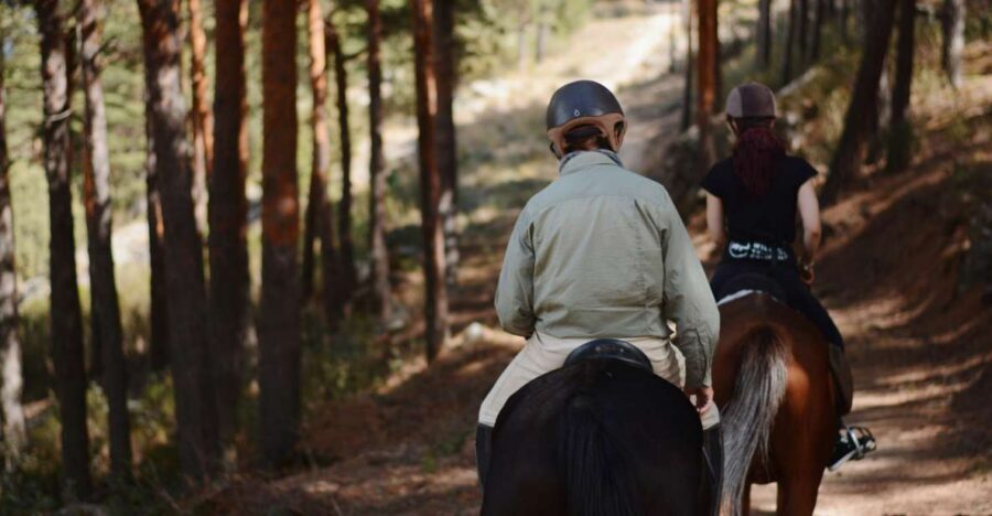 Madrid: Horse Riding in Sierra del Guadarrama National Park - Horses and safety: what you get with helmet, insurance, and a close guide