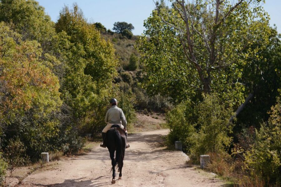 Madrid: Horse Riding in Sierra del Guadarrama National Park - What you might see: mountains first, then possible Madrid-area landmarks
