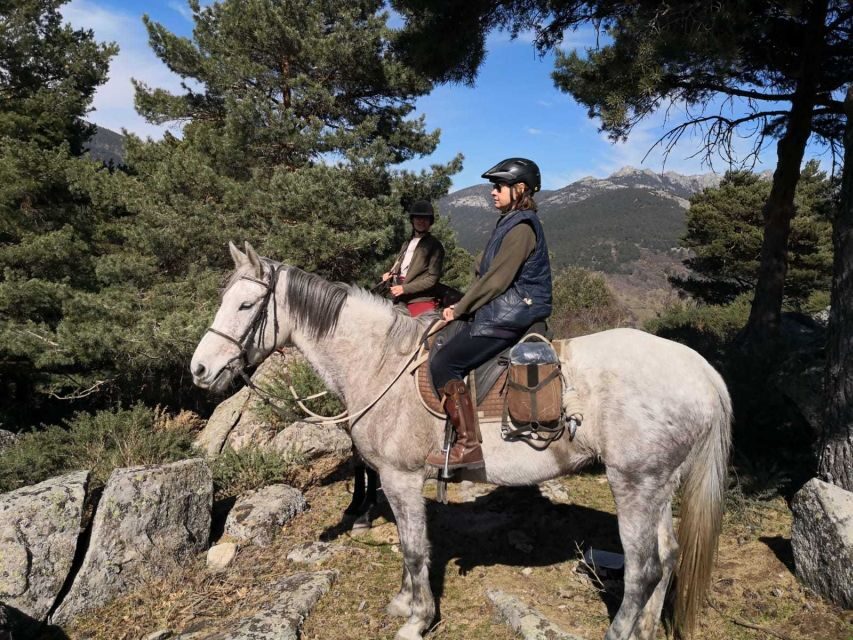 Madrid: Horse Riding in Sierra del Guadarrama National Park - Getting to the meeting point: it’s easiest if you plan transit early