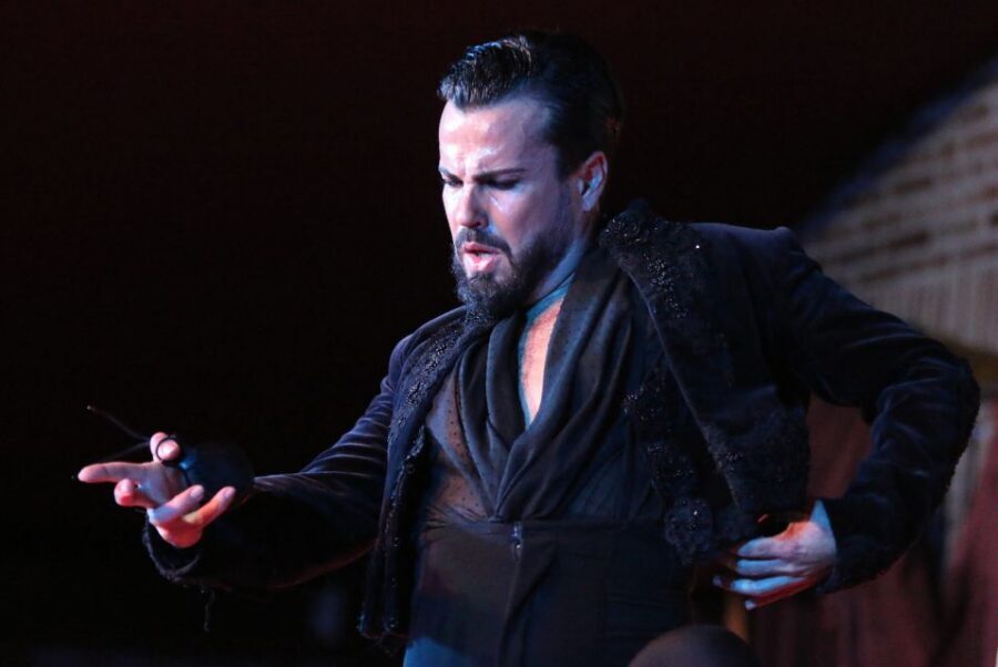 Madrid: Los Porches Flamenco Show with Tapas and Wine Ticket - What tapas and wine really add to the night