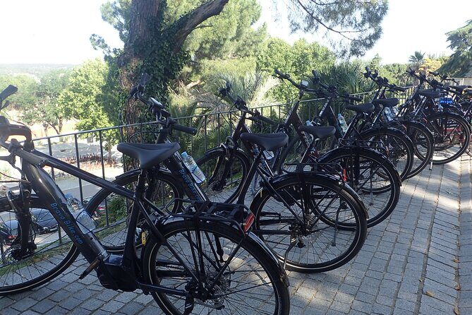 Madrid Parks & Riverside Bike Tour - Into Casa de Campo: the biggest park, the oldest bridge, and the lake stop