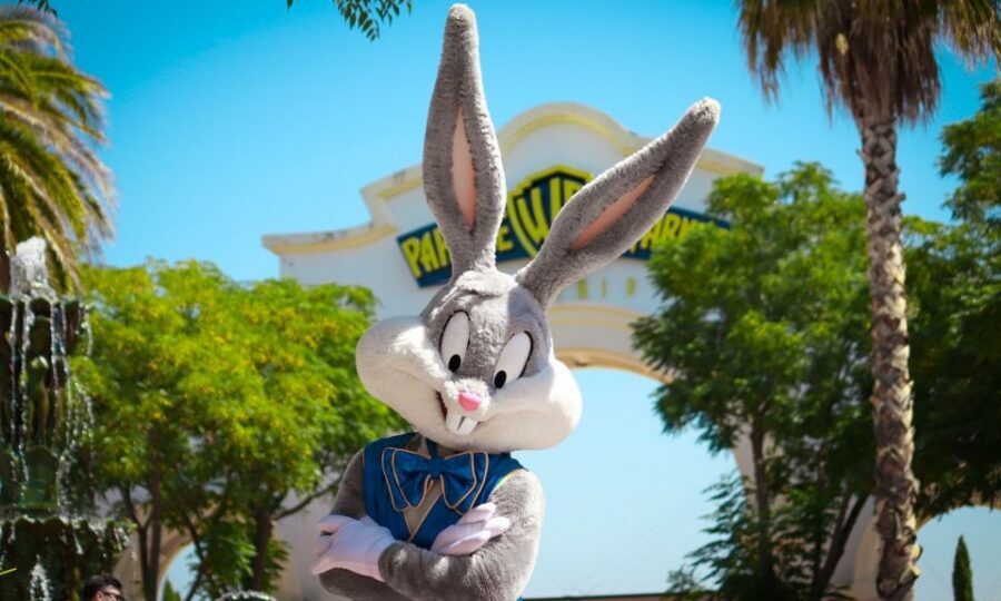 Madrid: Parque Warner Ticket and Roundtrip Transportation - Cartoon Village: Looney Tunes fun that actually works for families