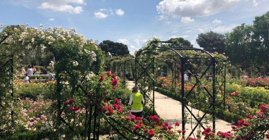 Madrid: Prado Avenue and Retiro Park Guided Walking Tour - Key things you’ll care about