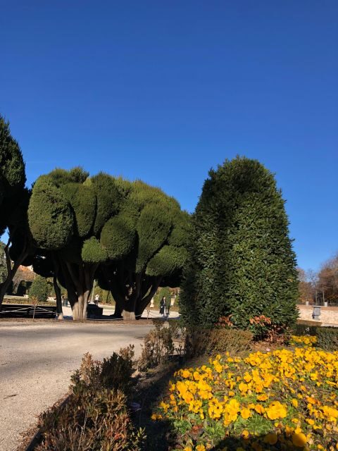Madrid: Prado Avenue and Retiro Park Guided Walking Tour - Peacocks in Retiro: the quirky pause that actually feels real