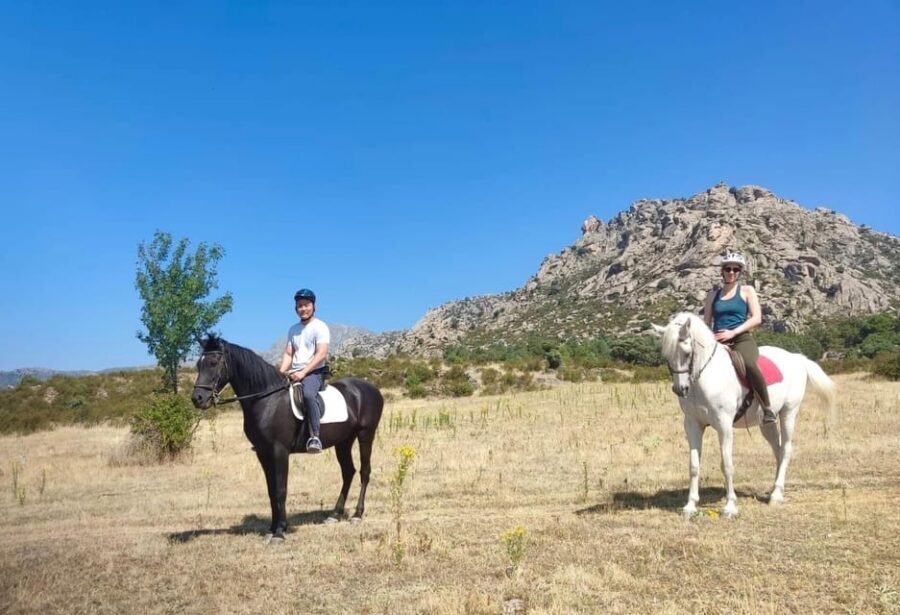 Madrid: Private Horseback Riding in Pedriza NP & Transport - Meeting the Horses: Safety That Still Feels Friendly