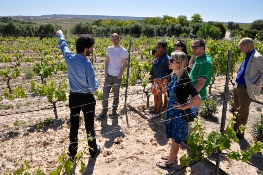 Madrid Region Wineries Guided Tour with Wine Tastings - Key highlights to look forward to