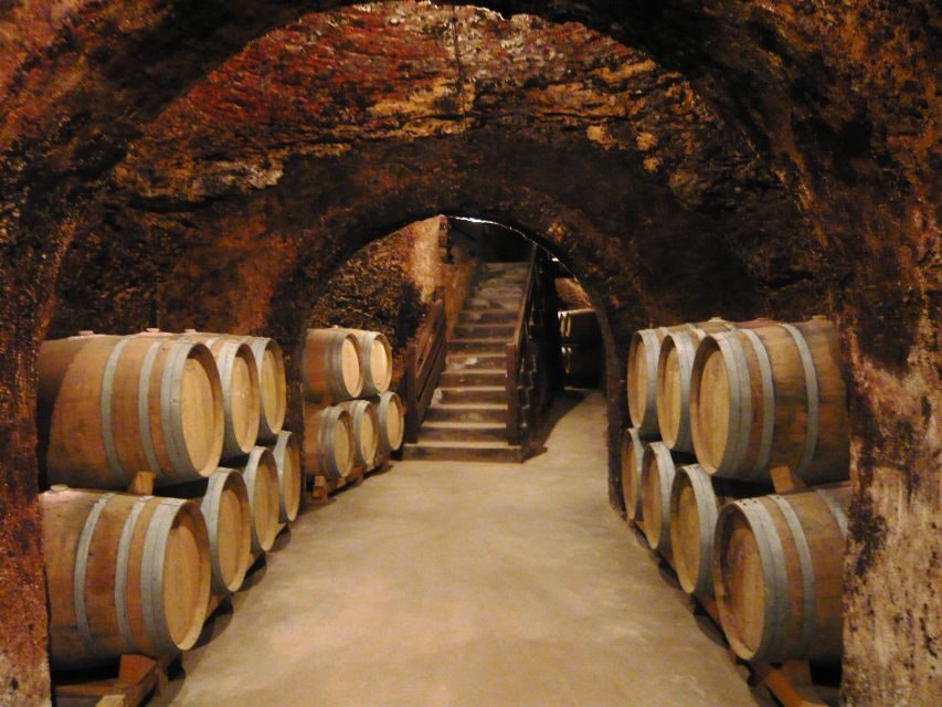 Madrid Region Wineries Guided Tour with Wine Tastings - Getting From Madrid to Vinos de Madrid Without a Car