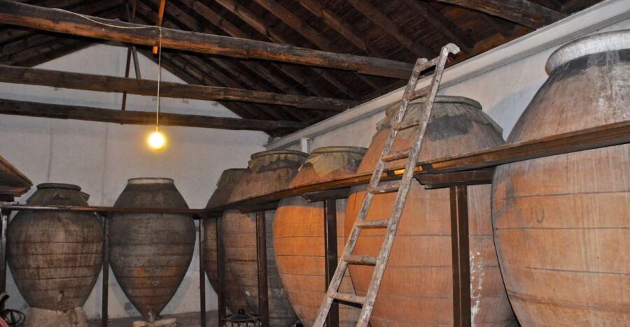 Madrid Region Wineries Guided Tour with Wine Tastings - Colmenar de Oreja: Vineyard Rows, Clay-Pot Aging, and Cave Time