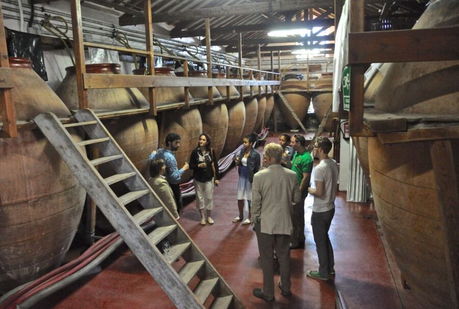Madrid Region Wineries Guided Tour with Wine Tastings - What You’ll Taste: 9+ Wines, Local Appetizers, and Real Food Pairing