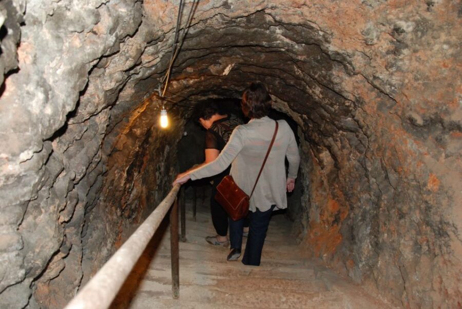 Madrid Region Wineries Guided Tour with Wine Tastings - The Winemakers and Guides: When the Story Comes From the Source