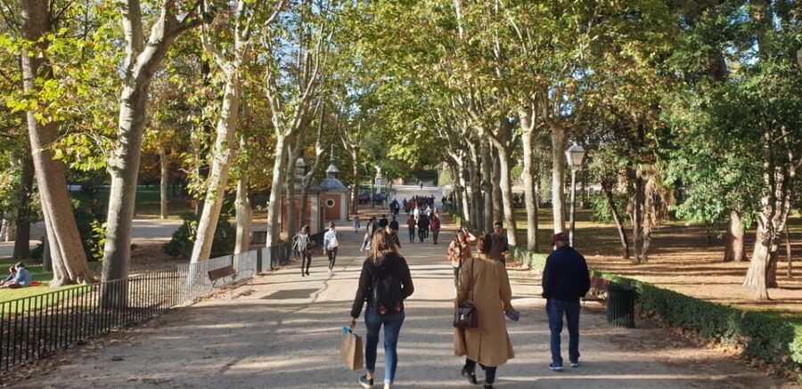 Madrid: Retiro Park Guided Tour with a Photographer - Wrapping Up With Final Viewpoints and Scenic Passing Views