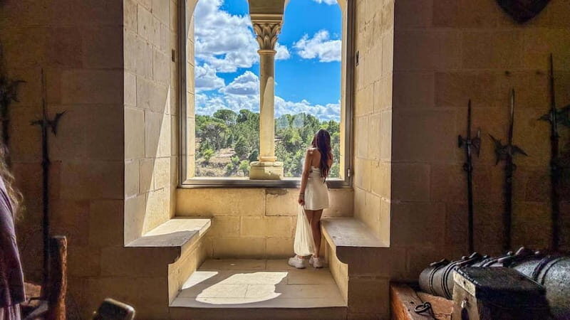 Madrid: Segovia & Ávila Full Day with Alcázar & Wall Tickets - Alcázar of Segovia visit: why the time feels right