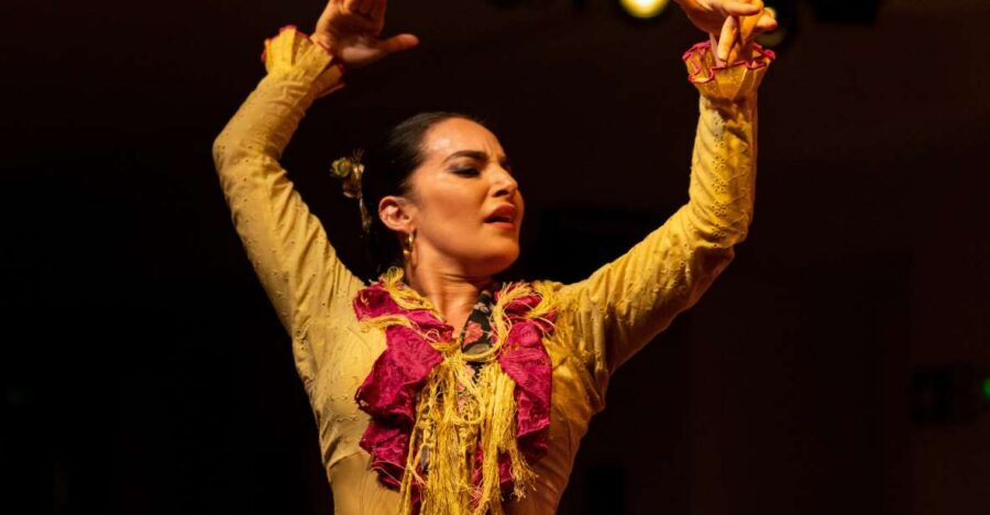 Madrid: Tablao de La Villa Flamenco Show - Watching professional flamenco: what to focus on