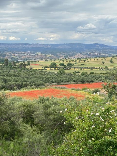 Madrid: Unspoiled Spain for Foodies & Nature ❤️’s - Escape Tunnels: A 10th-Century Secret Tour