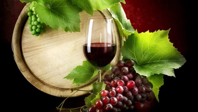 Madrid Wine Tasting, Flamenco Class and Pub Crawl - Price and value: why $84 can make sense