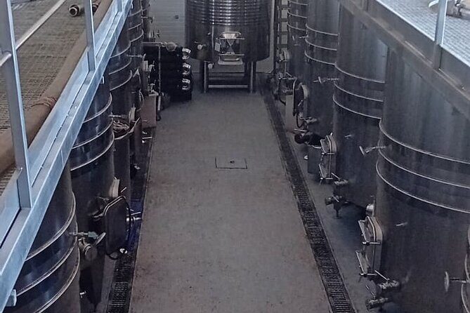 Madrid Wine Tour: Visit Two Wineries with Tastings - Stop 3 in Chinchón: Vinification Methods, Nibbles, and a Second Tasting