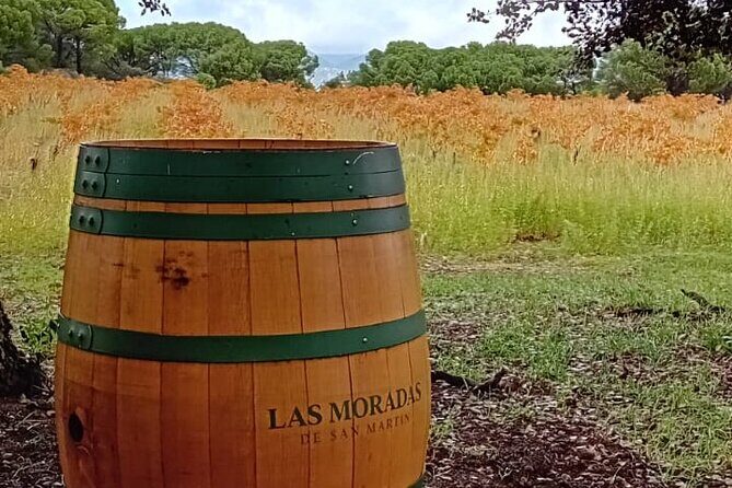 Madrid Wine Tour: Visit Two Wineries with Tastings - Stop 2: A Modern Winery Visit, Plus Three Wines and Snacks