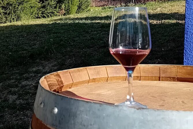 Madrid Winery Tour with Tasting and Sommelier Guide - Stop 1: Community of Madrid appellation context on the drive out