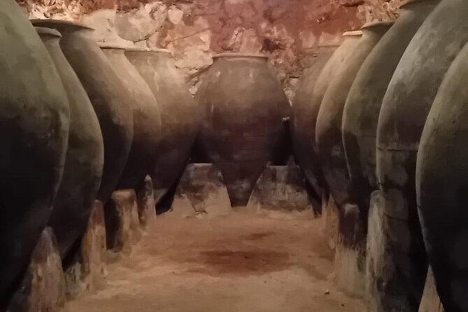Madrid Winery Tour with Tasting and Sommelier Guide - How the tasting + snacks help you actually learn something