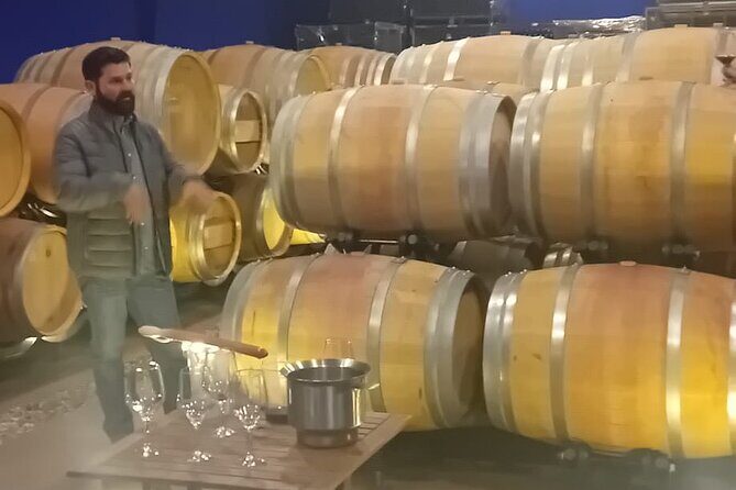 Madrid Winery Tour with Tasting and Sommelier Guide - Group size, guide quality, and why it feels personal